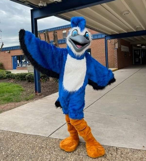 blue jay mascot
