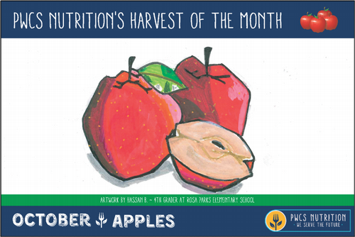 harvest of the month: October Apples